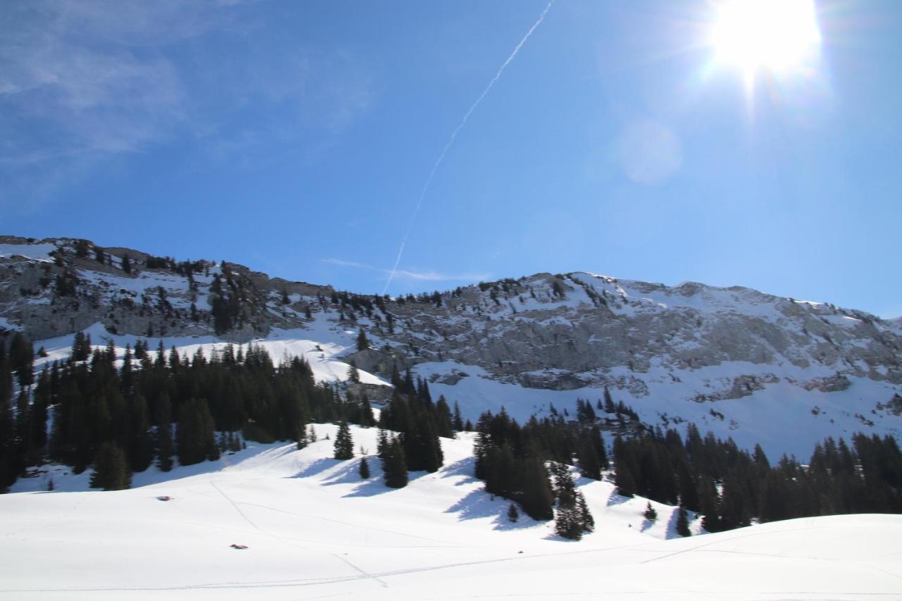 Logement Entre Lac Et Montagnes Thônes Εξωτερικό φωτογραφία